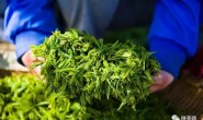 【关注】“安康富硒茶”获得省级首批特色农产品优势区认定